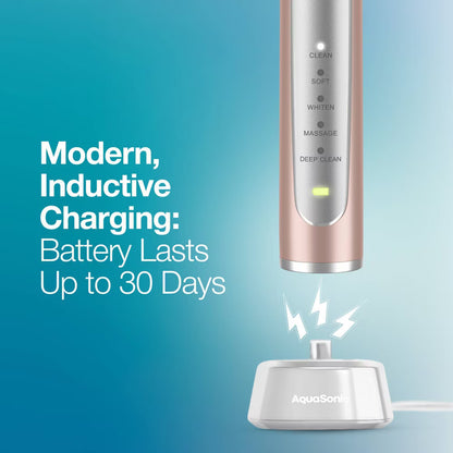 Aquasonic Precision Rechargeable Electric Toothbrush with 4 Brush Heads