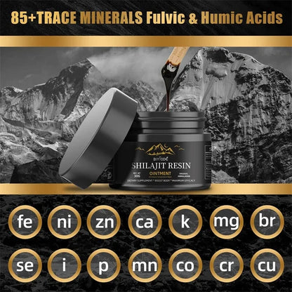 Pure Shilajit Resin – Organic & Potent